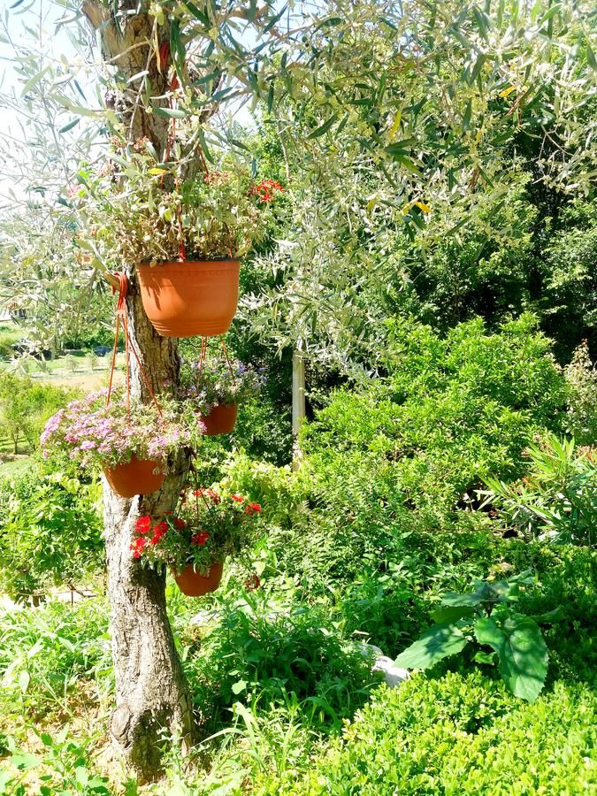 Апарт-отели Villa Gjenashaj Улцинь-30