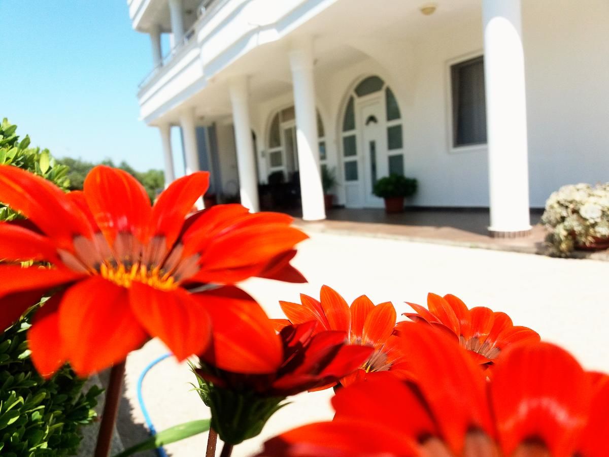 Апарт-отели Villa Gjenashaj Улцинь-10